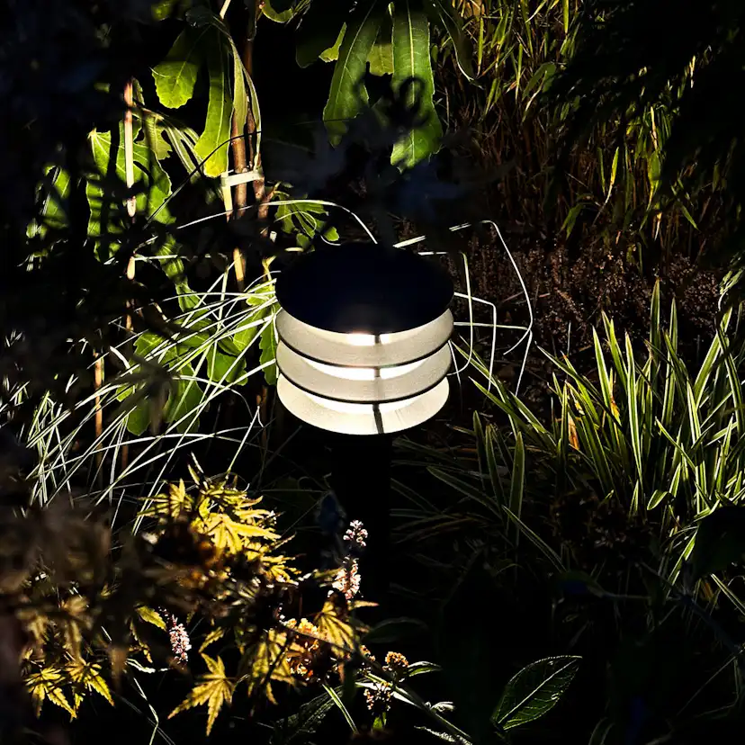 Pollare LightsOn Jupiter