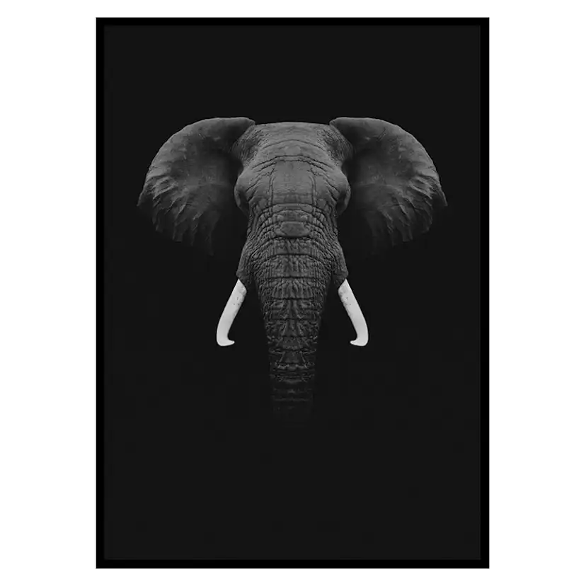 Poster Gallerix Black Elephant