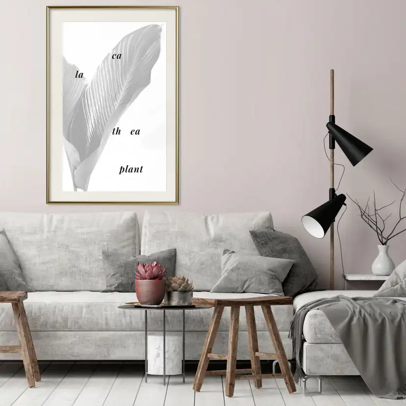 Poster Artgeist Affisch Calathea Plant