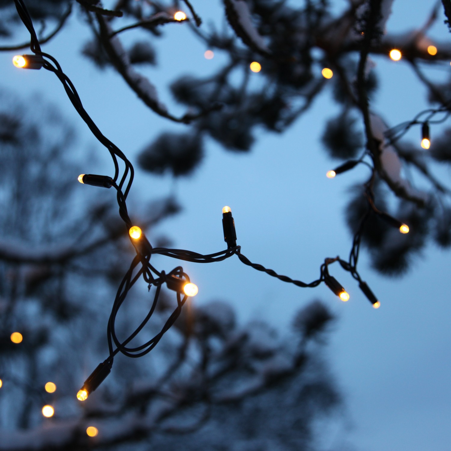 Ljusslinga Star Trading Extra System 24 98L LED Utebelysning Svart 10m