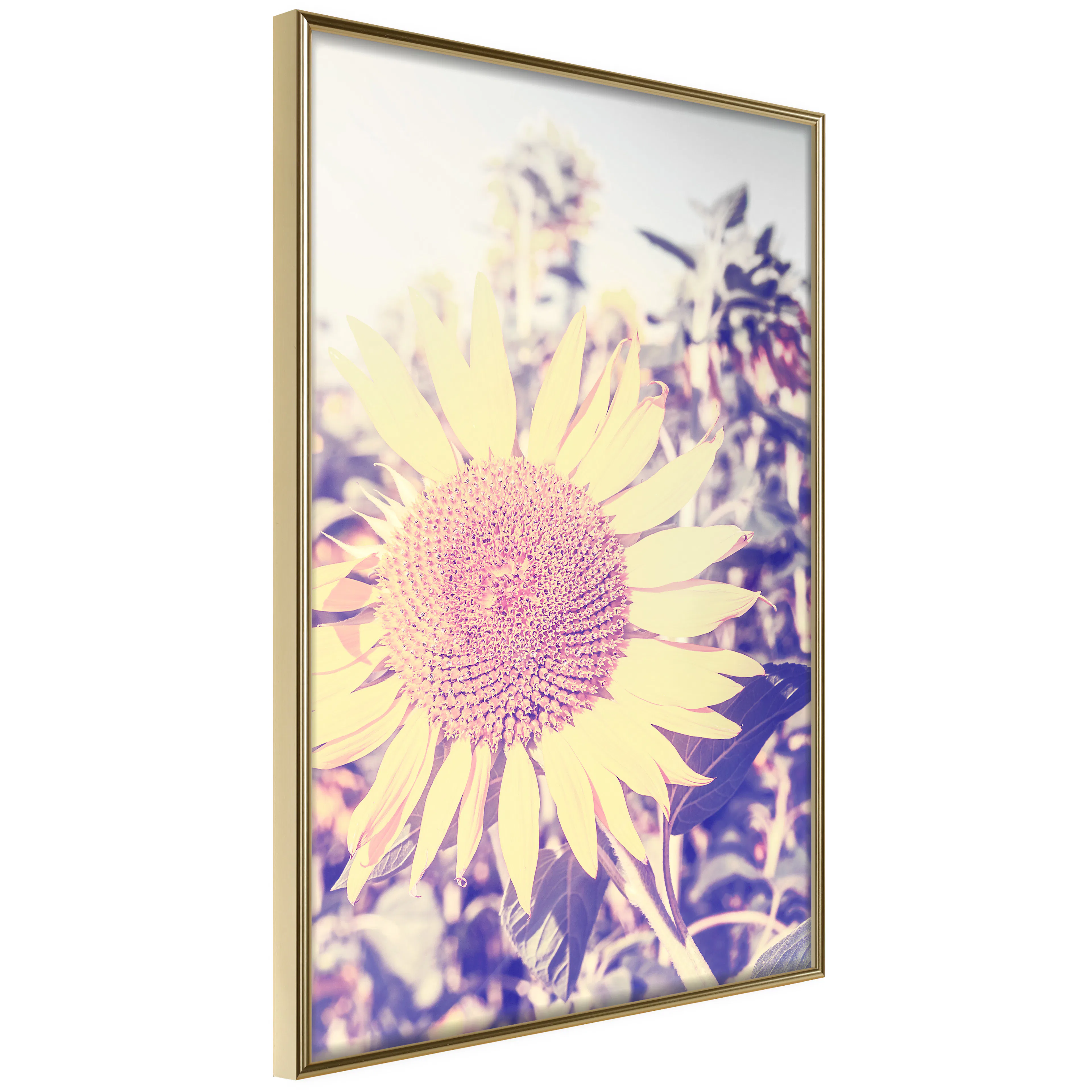 Poster Artgeist Affisch Sunflower