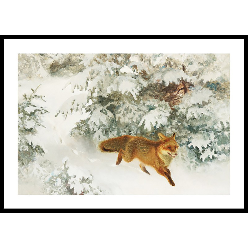 Poster Gallerix Räv i Vinterlandskap By Bruno Liljefors No1