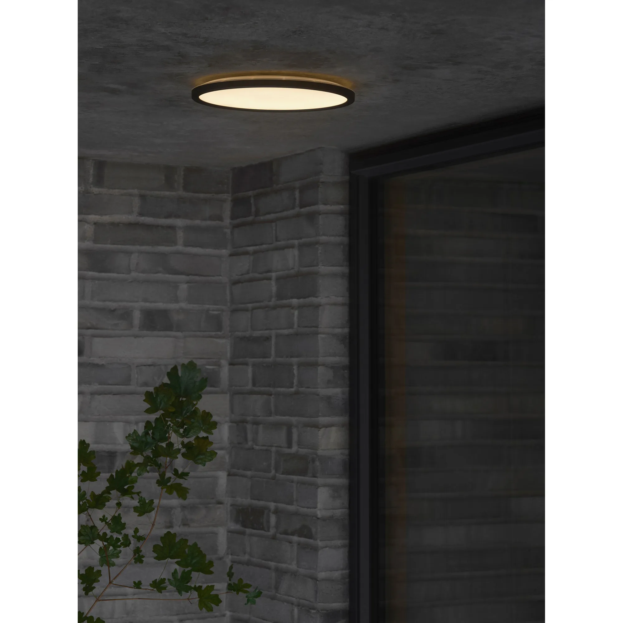 Plafond Nordlux Oja 29 Utebelysning IP54