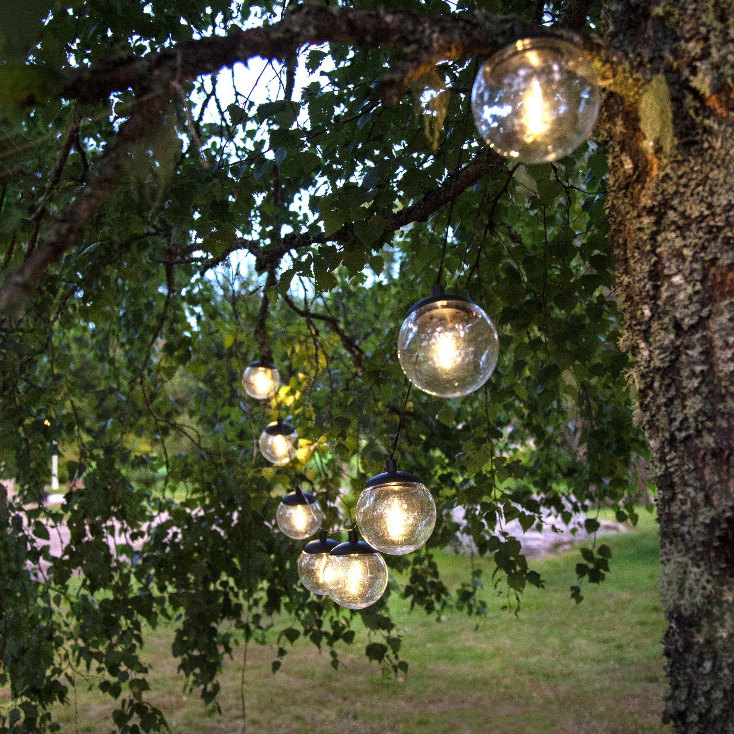 SolcellsLjusslinga Star Trading Globe 8L