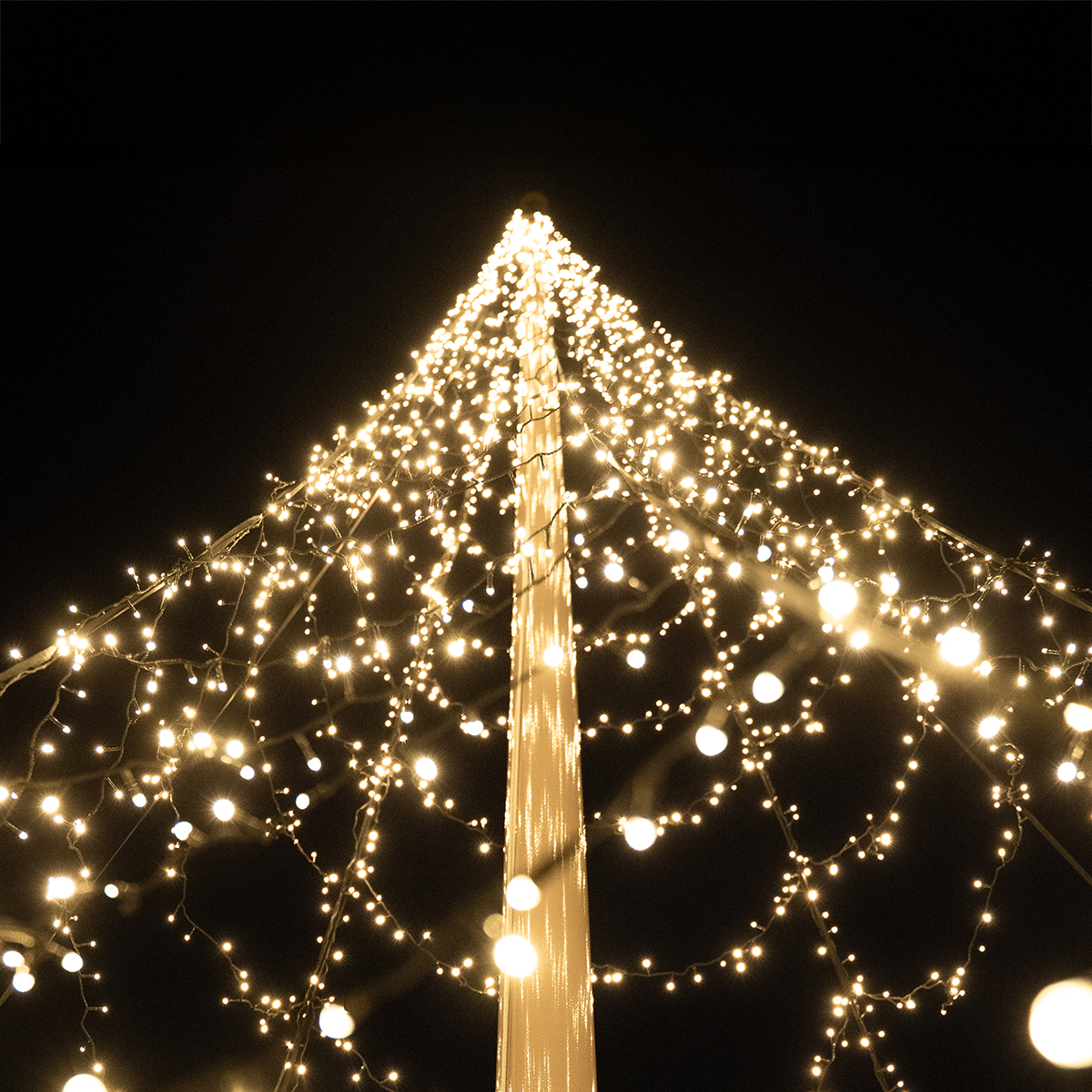 Flaggstångsbelysning Glimma 10 m 2000 LED DUOLED med app 10m, 2000 ljuskällor, DUOLED
