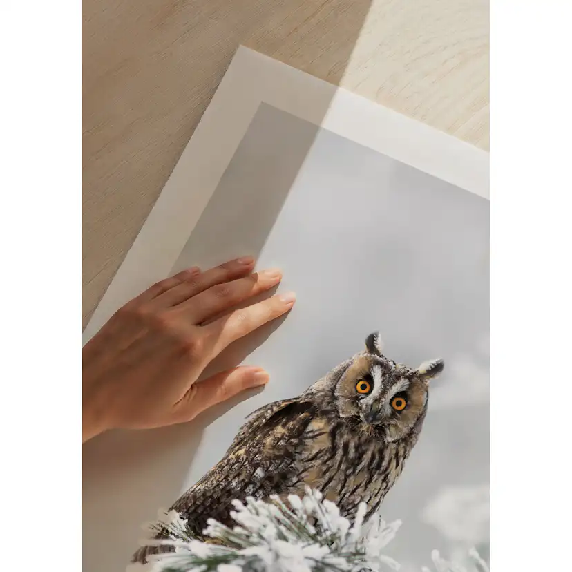 Poster Gallerix Owl On Snow Branch