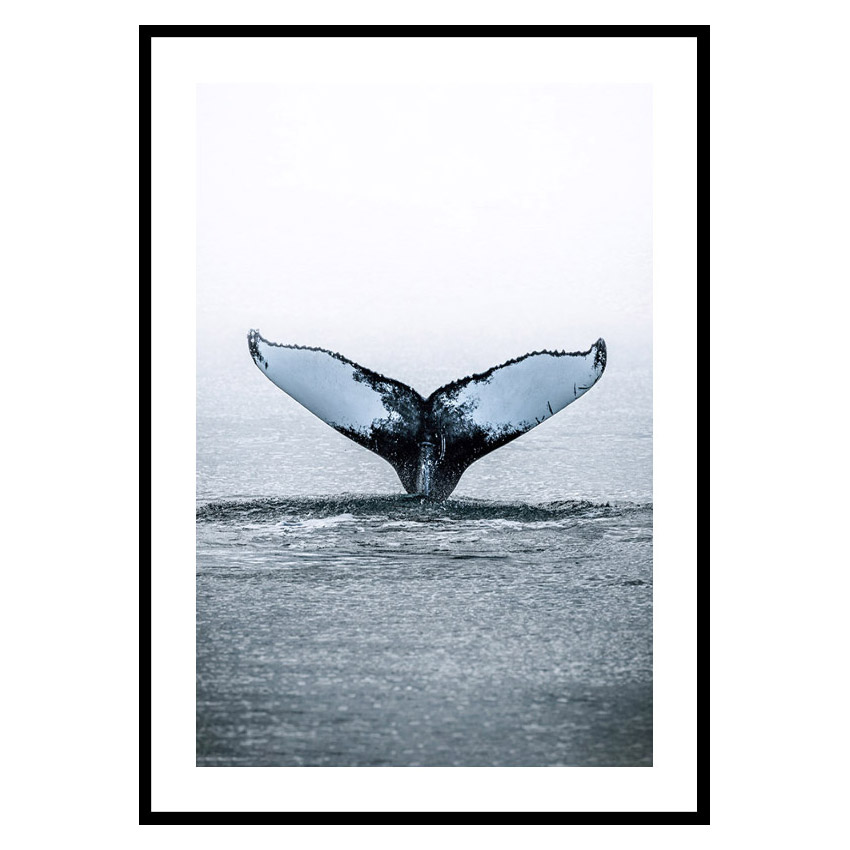 Poster Gallerix Humpback Whale