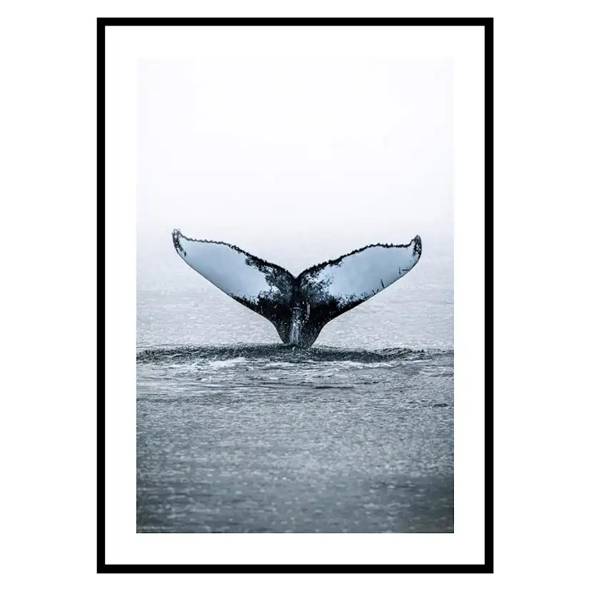 Poster Gallerix Humpback Whale