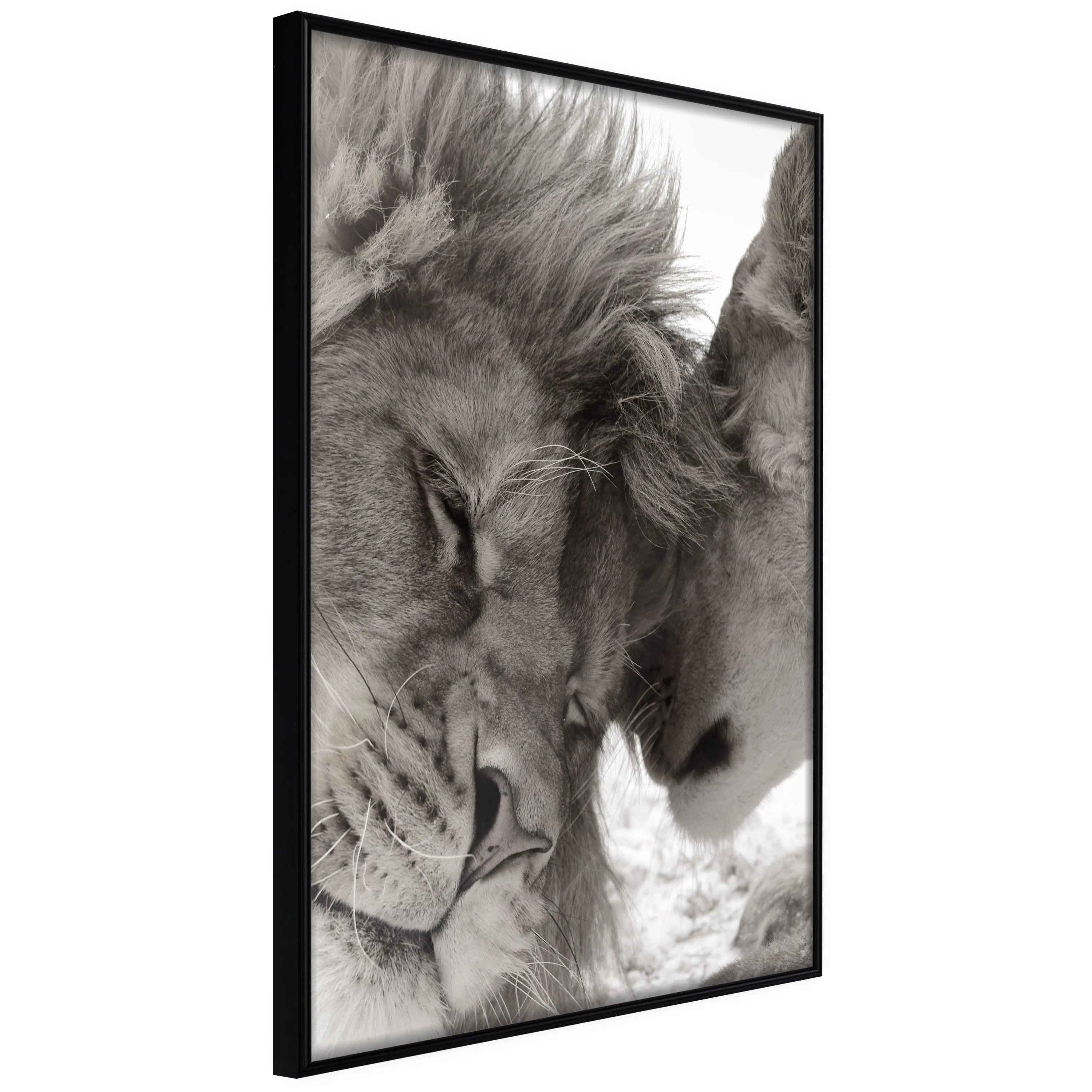 Poster Artgeist Affisch Whispering Dreams
