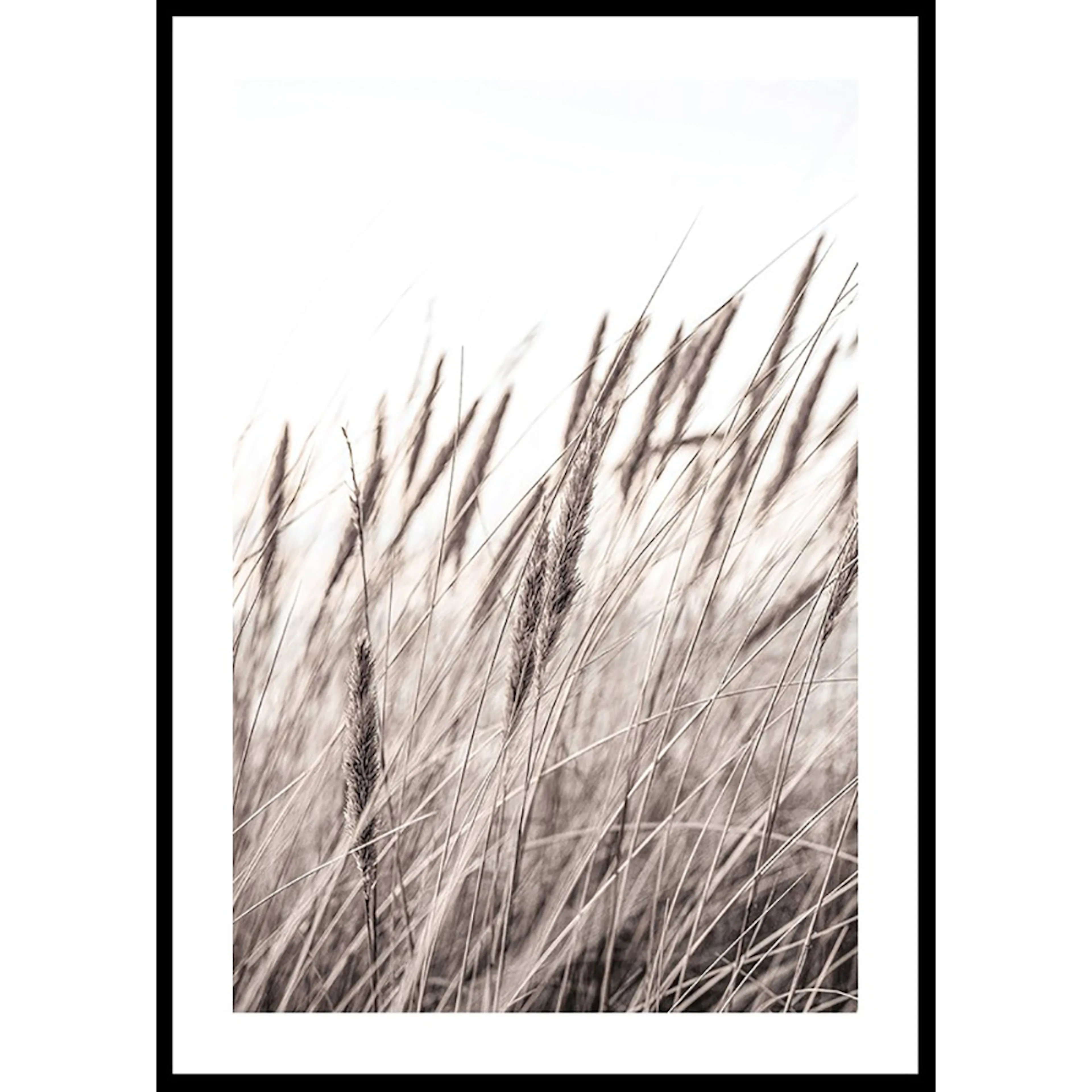 Poster Gallerix Boho Dried In Nature No1