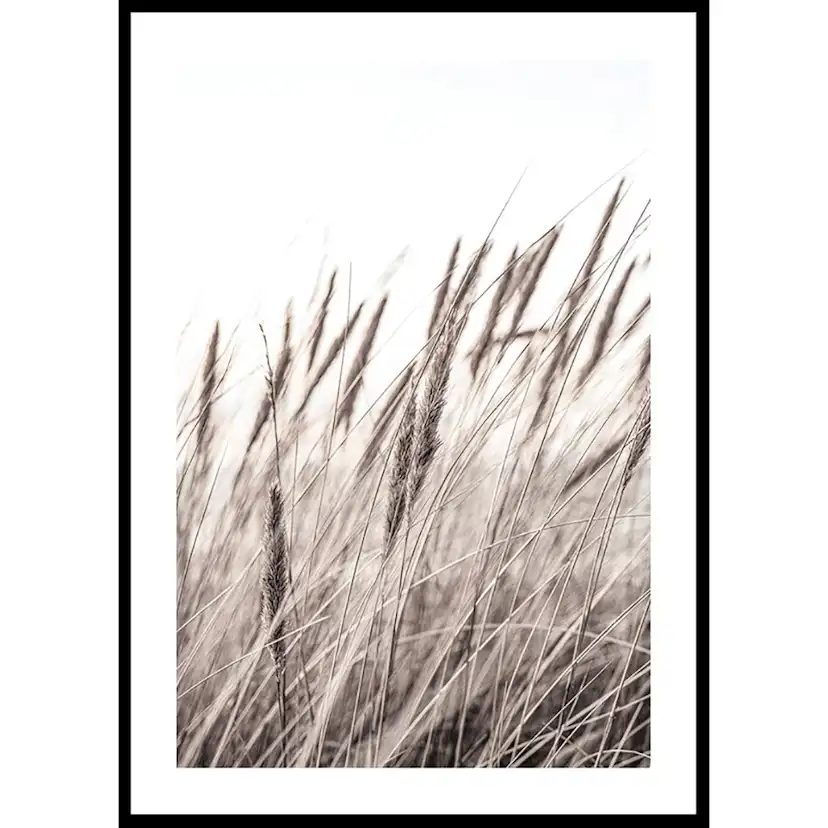 Poster Gallerix Boho Dried In Nature No1