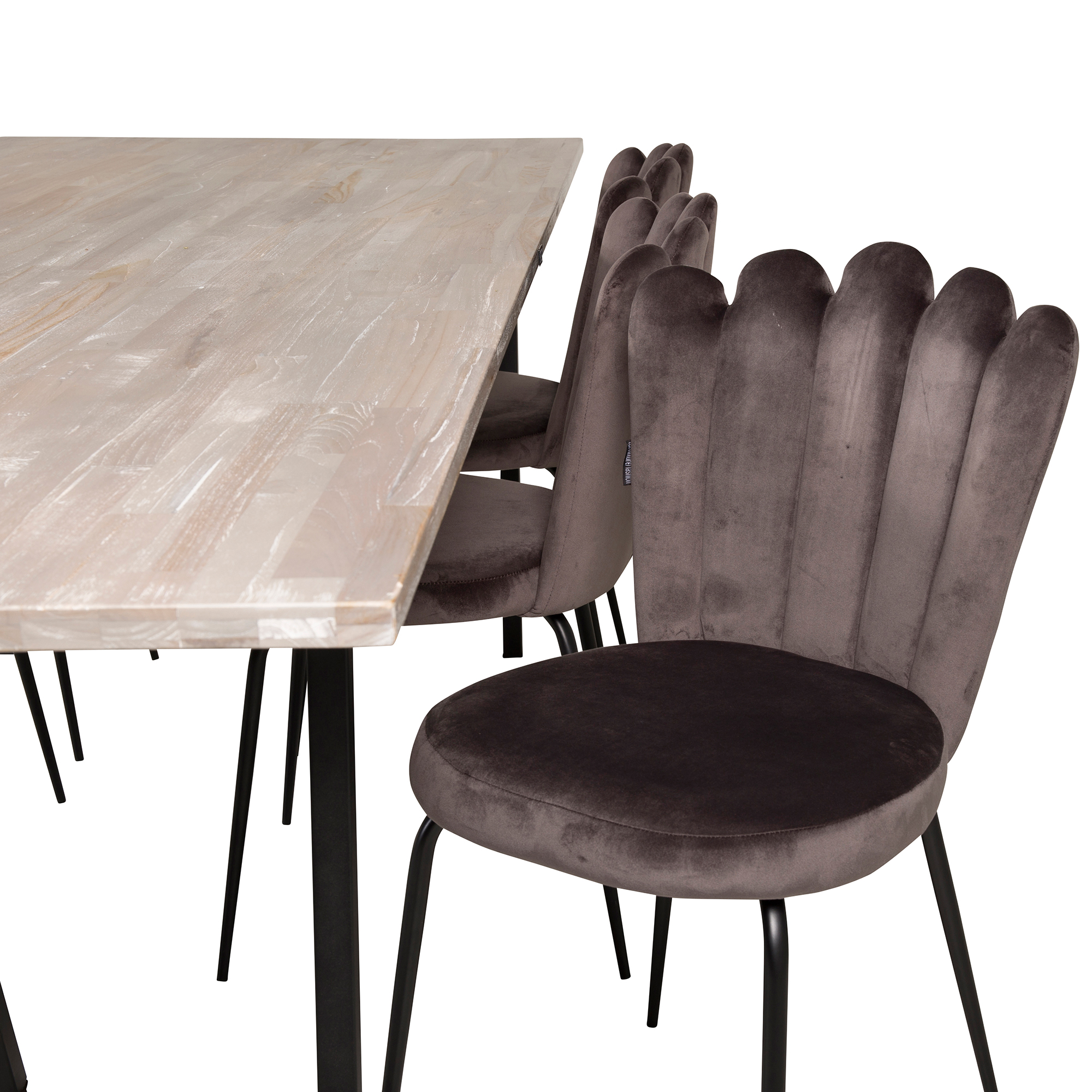 Matgrupp furniture/fashion Jenni med 6 Limhamn Light Stolar