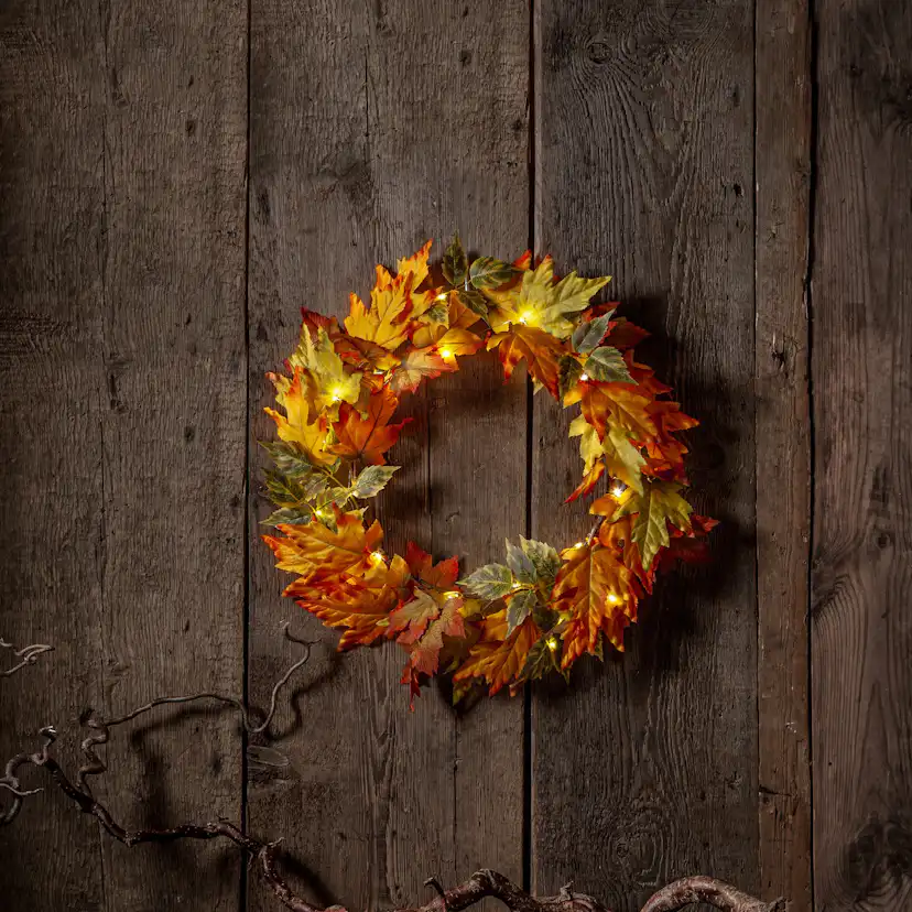 Krans Star Trading Autumn
