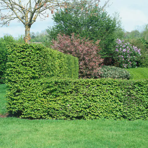 AvenBok Omnia Garden 60-100 cm
