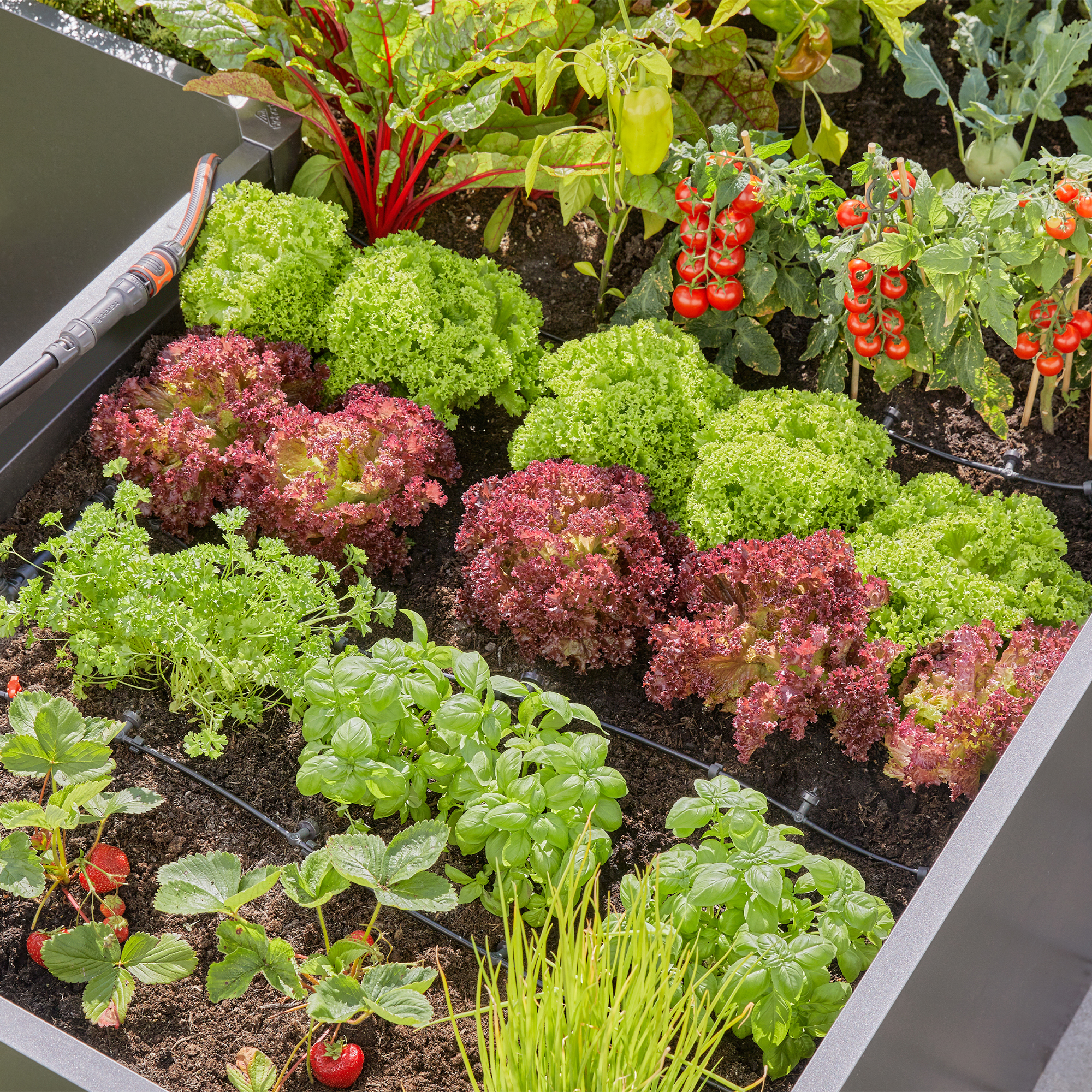 Micro-Drip Gardena Premiumpaket För Pallkrage med Vattenfördelare & Bevattningsdator