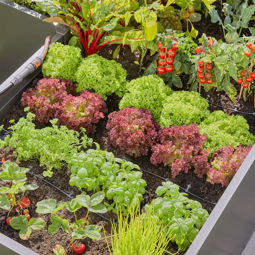 Micro-Drip Gardena Premiumpaket För Pallkrage med Vattenfördelare & Bevattningsdator