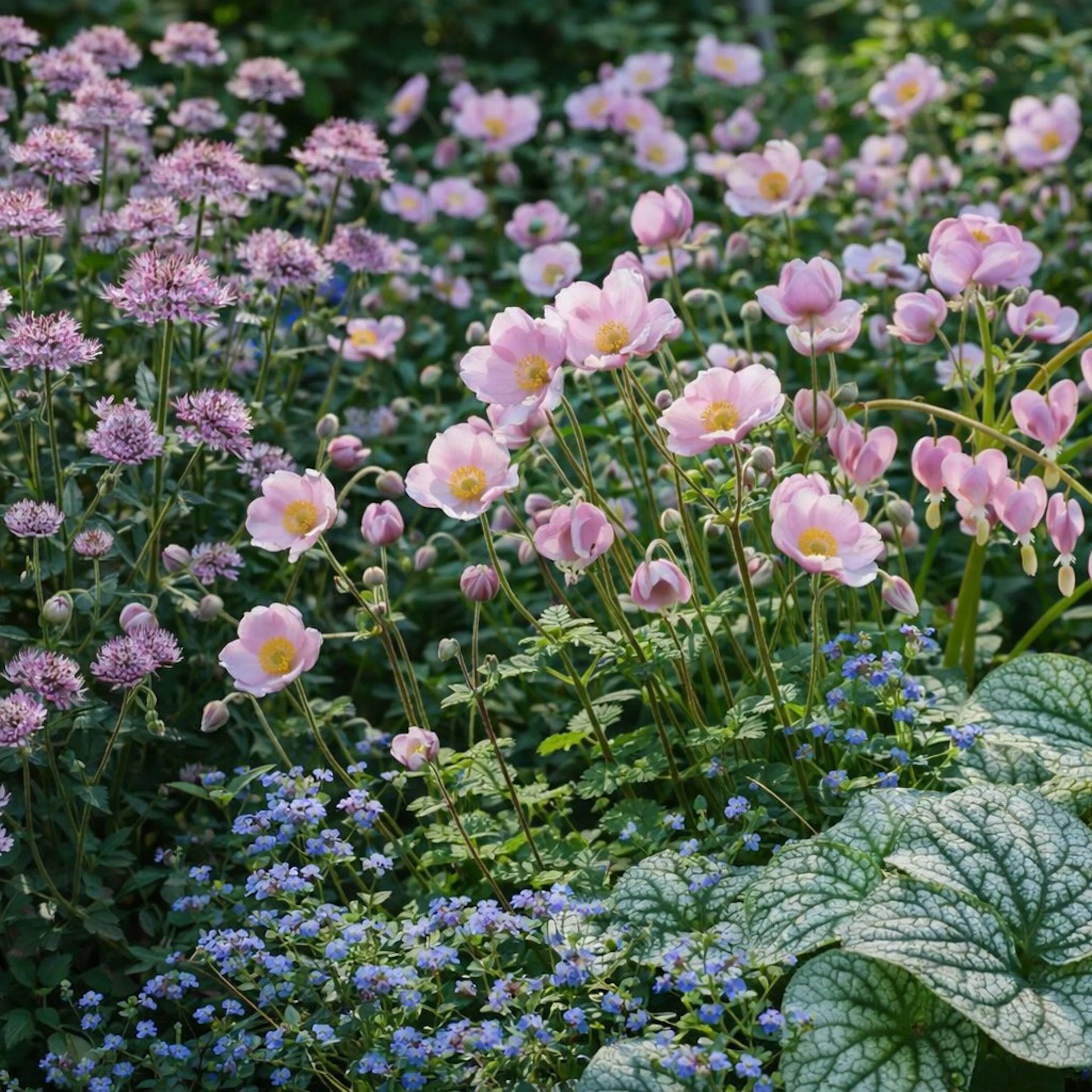 Perenn Omnia Garden Perennpaket Pollinatörernas Favorit