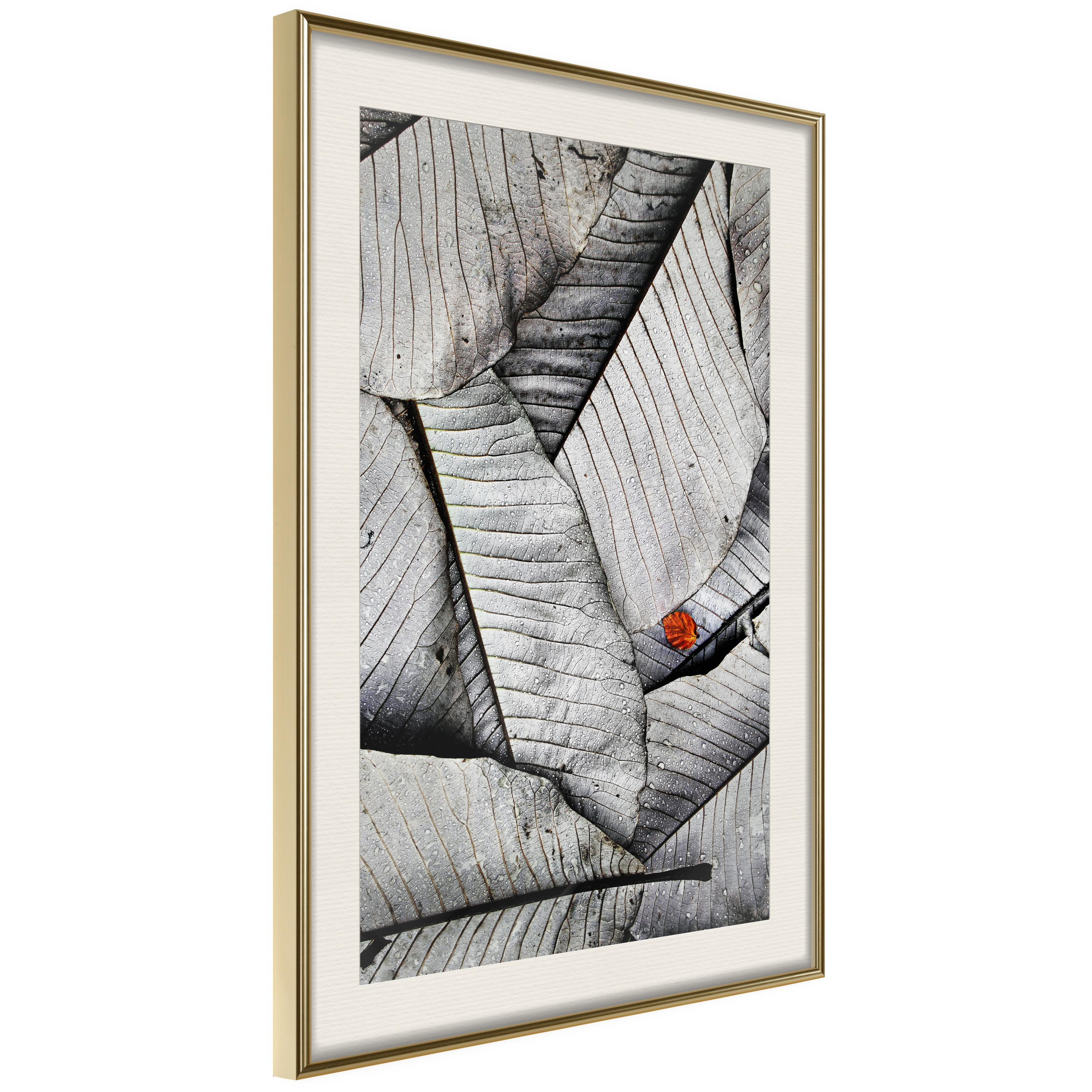 Affisch - Black And White Leaves [Poster] 30x45 Guld ram med passepartout, 30x45 cm