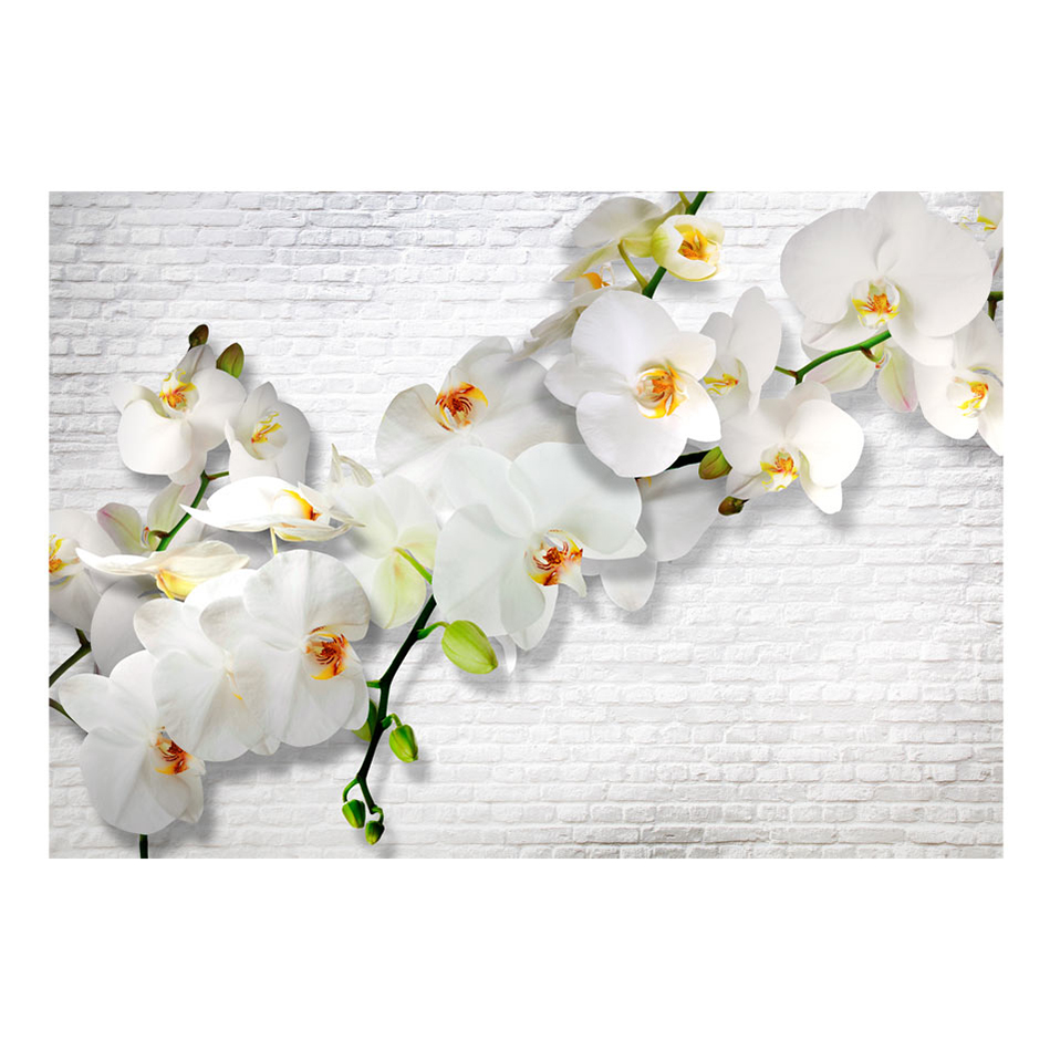 Fototapet Arkiio The Urban Orchid