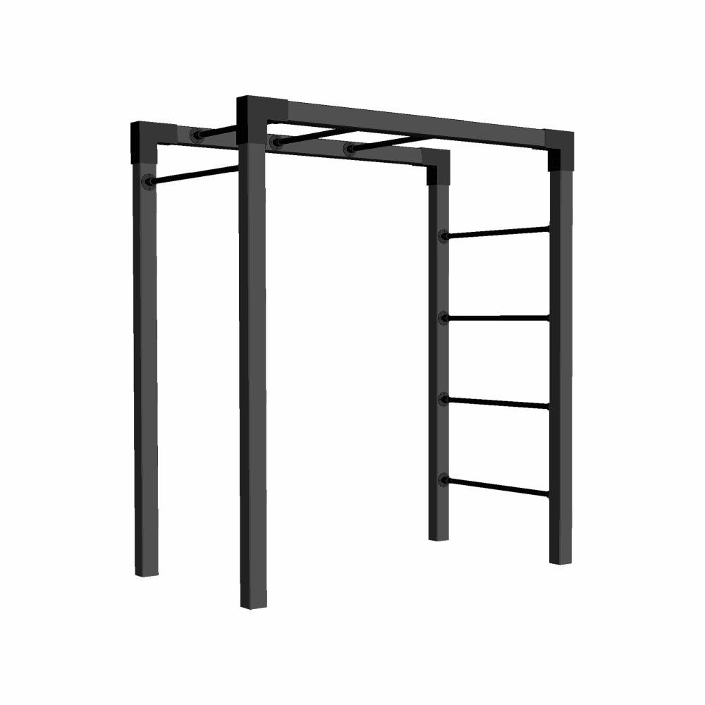 Träningsställning PLUS Outdoor Fitness Modell 4 Svart