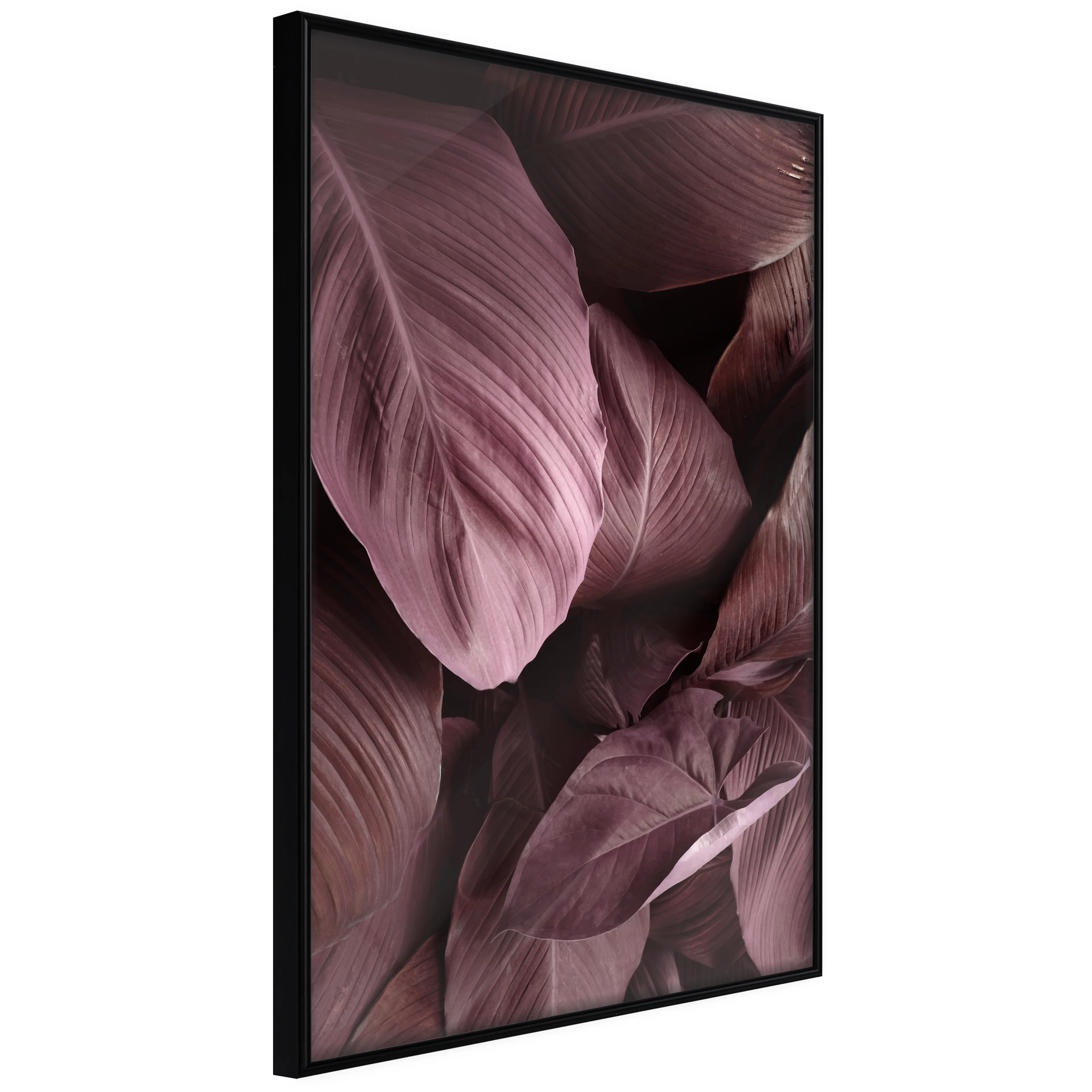 Affisch - Velvet Leaves [Poster] 40x60 Svart ram, 40x60 cm