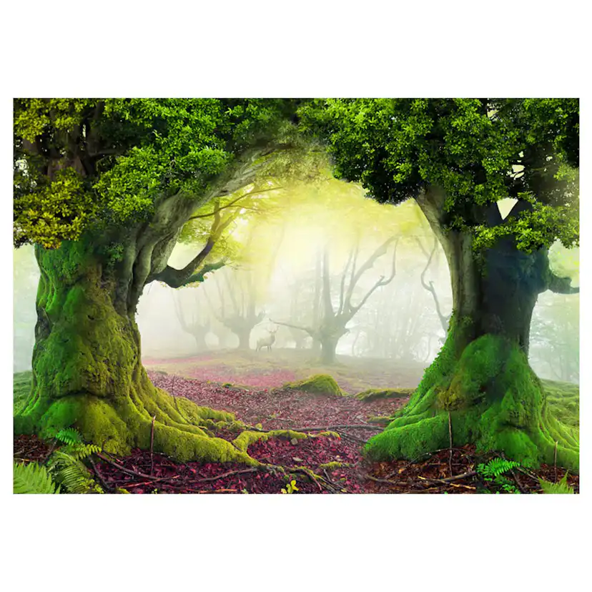 Fototapet Arkiio Enchanted Forest