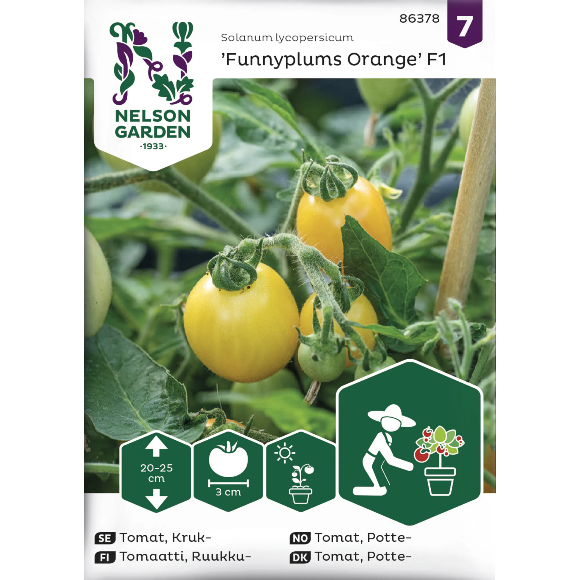 Frö Nelson Garden Tomat Funnyplums Orange F1 Kruktomat