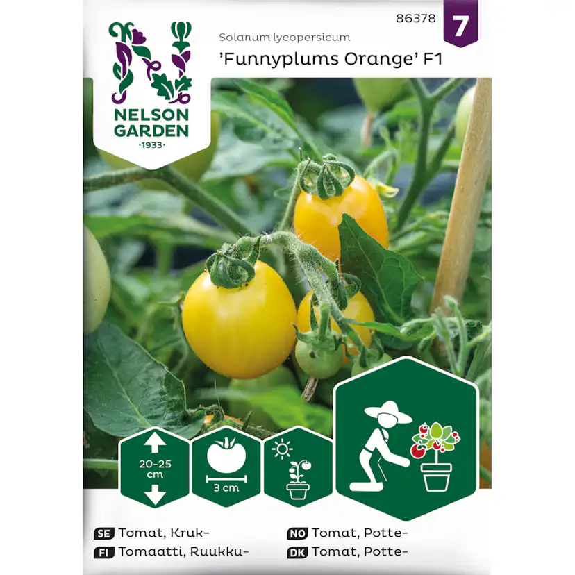 Frö Nelson Garden Tomat Funnyplums Orange F1 Kruktomat