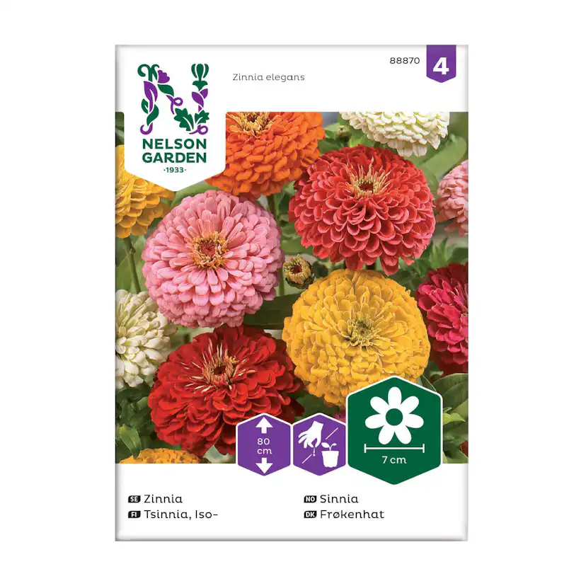 Frö Zinnia Nelson Garden Hög Mix