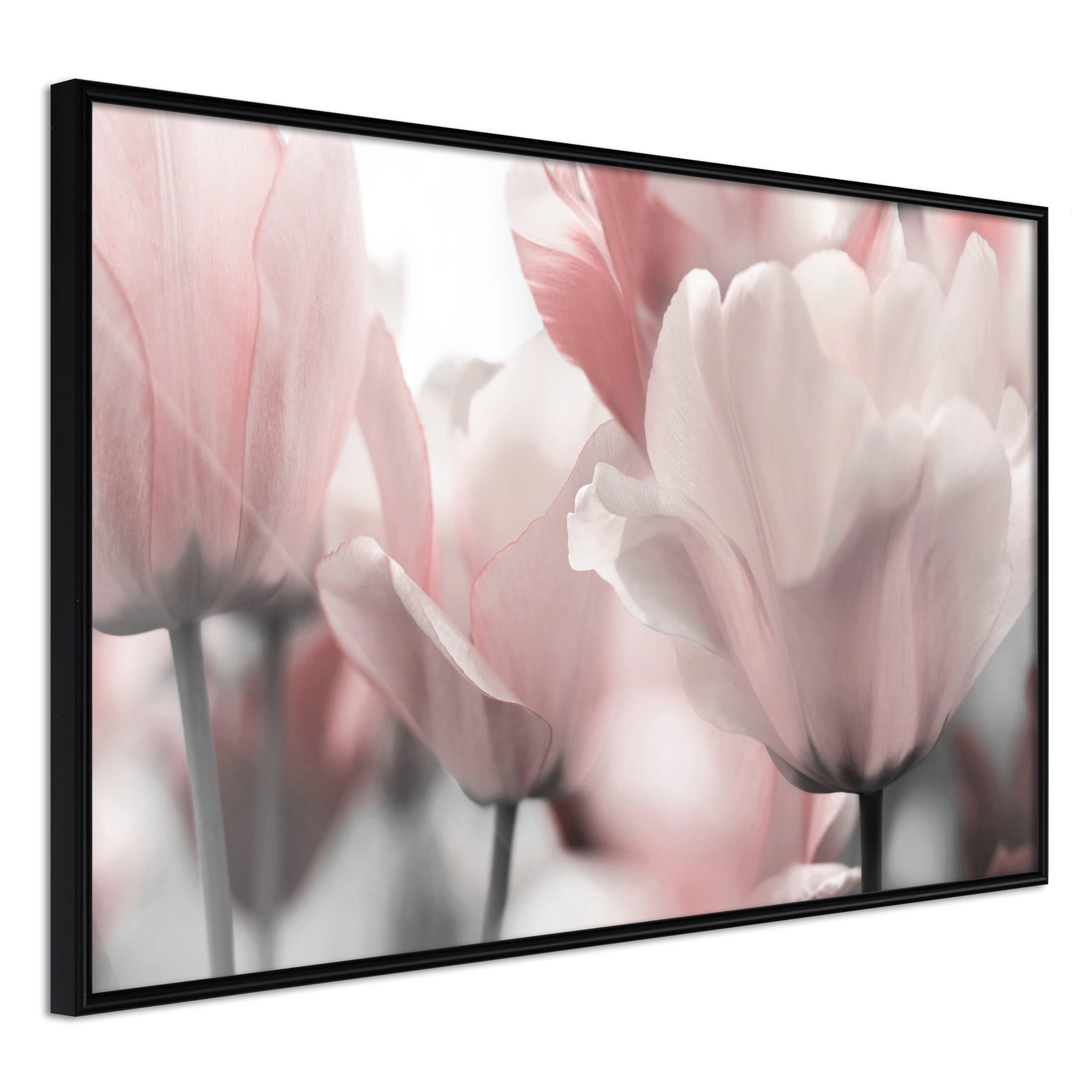 Affisch - Fabulous Tulips [Poster] 60x40 Svart ram, 60x40 cm