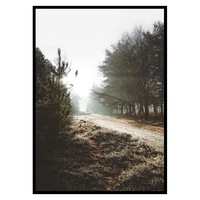 Poster Gallerix New Forest