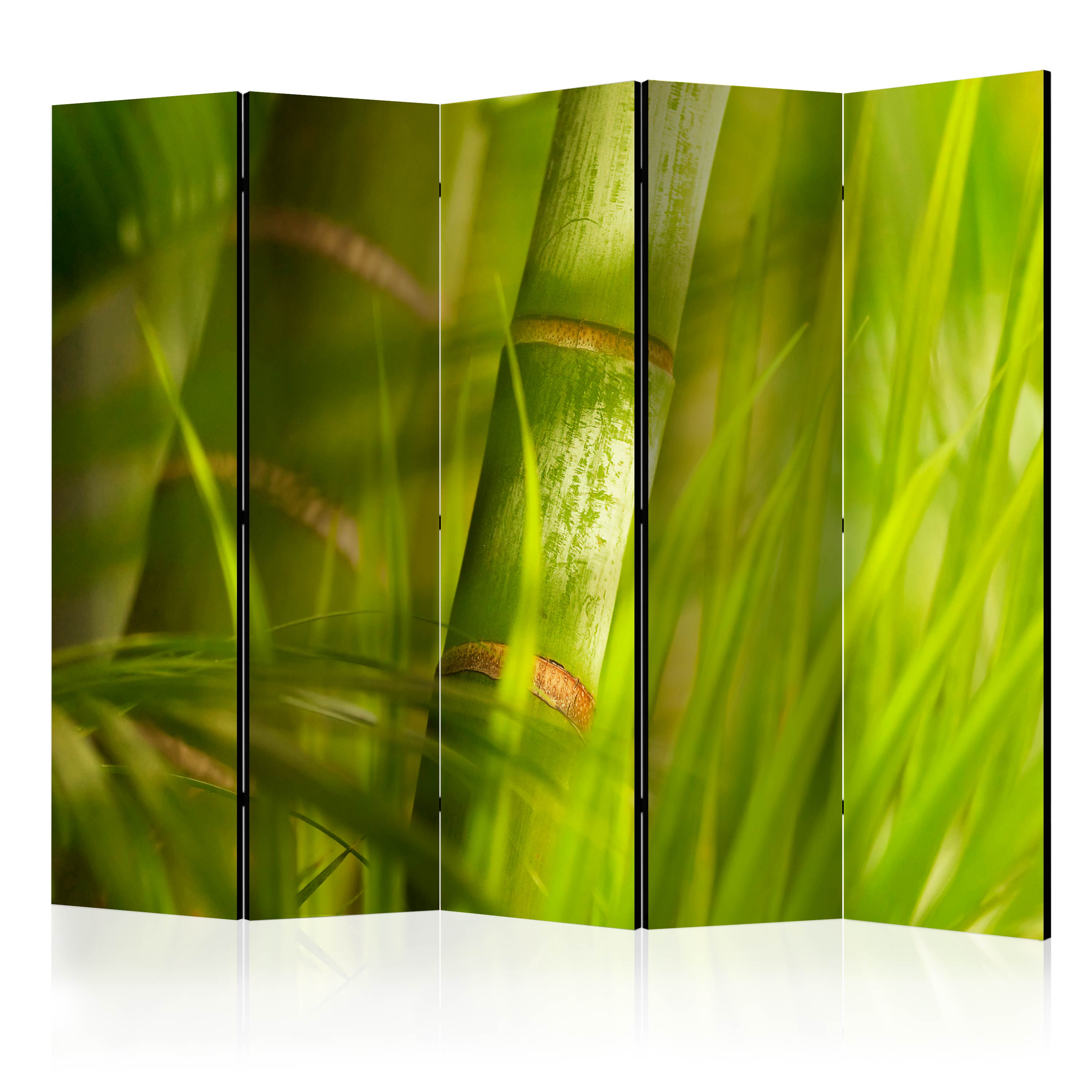 Rumsavdelare Arkiio Bamboo Nature Zen II 225x172 cm
