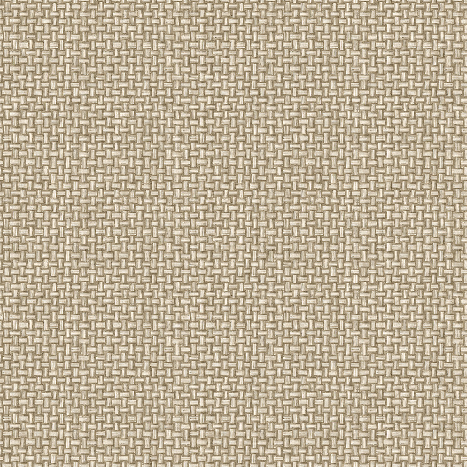 Tapet Holden The Lost Gardens Biderbost Weave Beige 91602