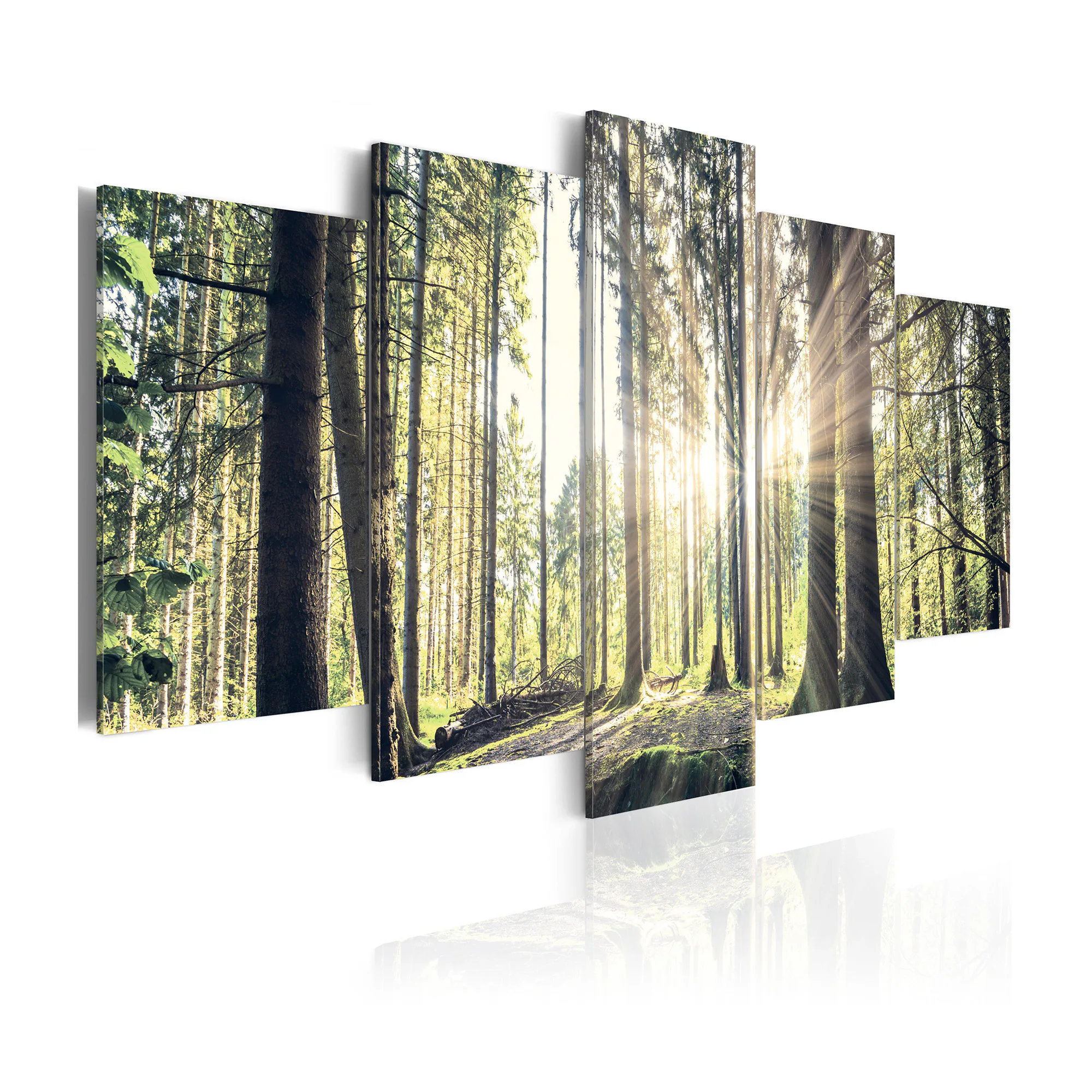 Tavla Arkiio Forest Temple