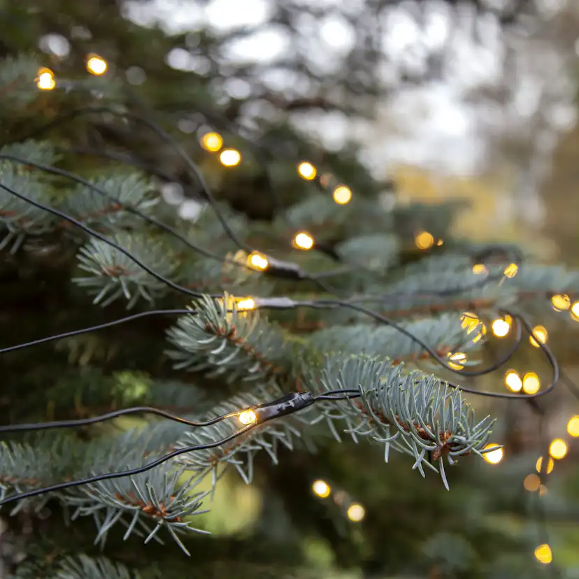 Ljusnät Star Trading Extra System Decor 100L