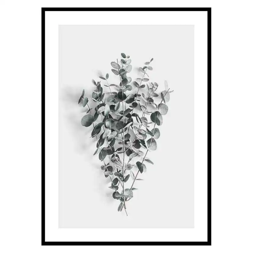 Poster Gallerix Eucalyptus No5