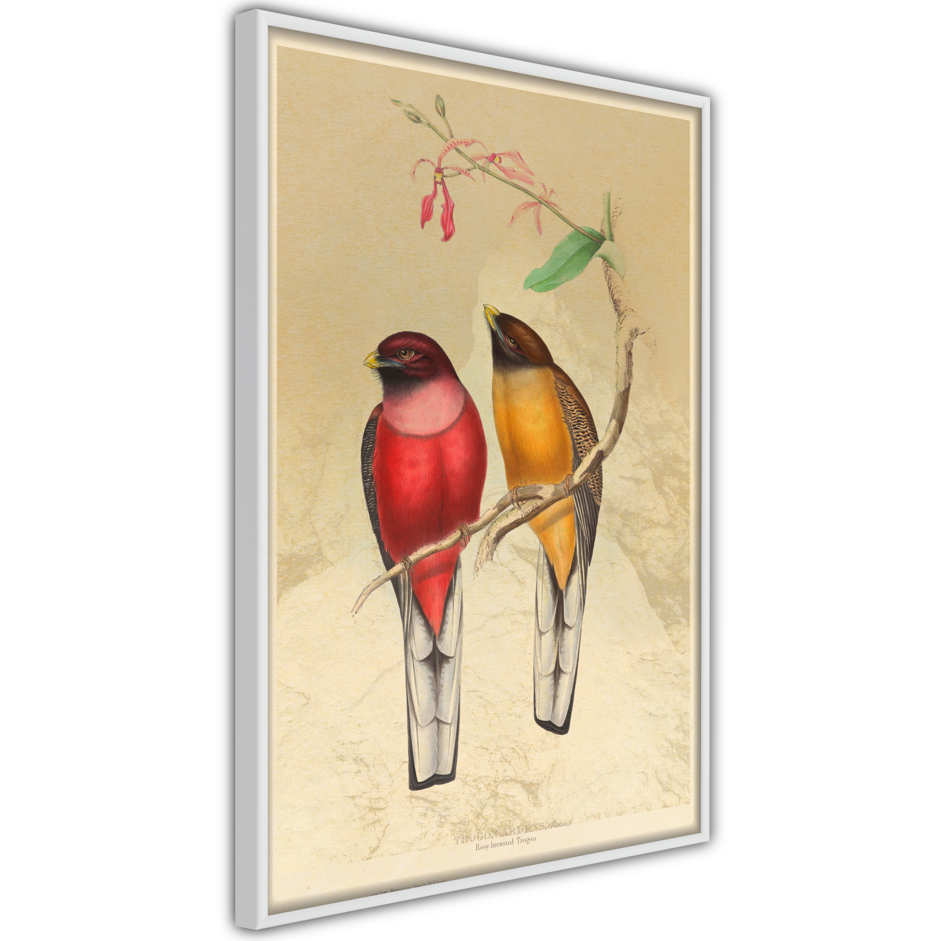 Poster Artgeist Affisch Birds Twig