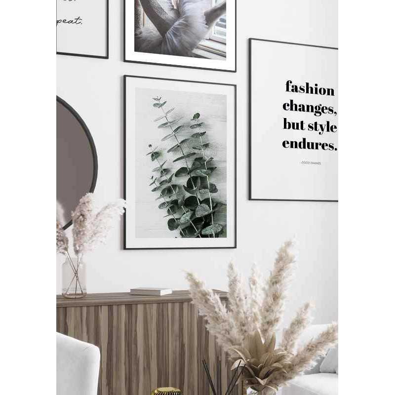 Poster Gallerix Eucalyptus No6