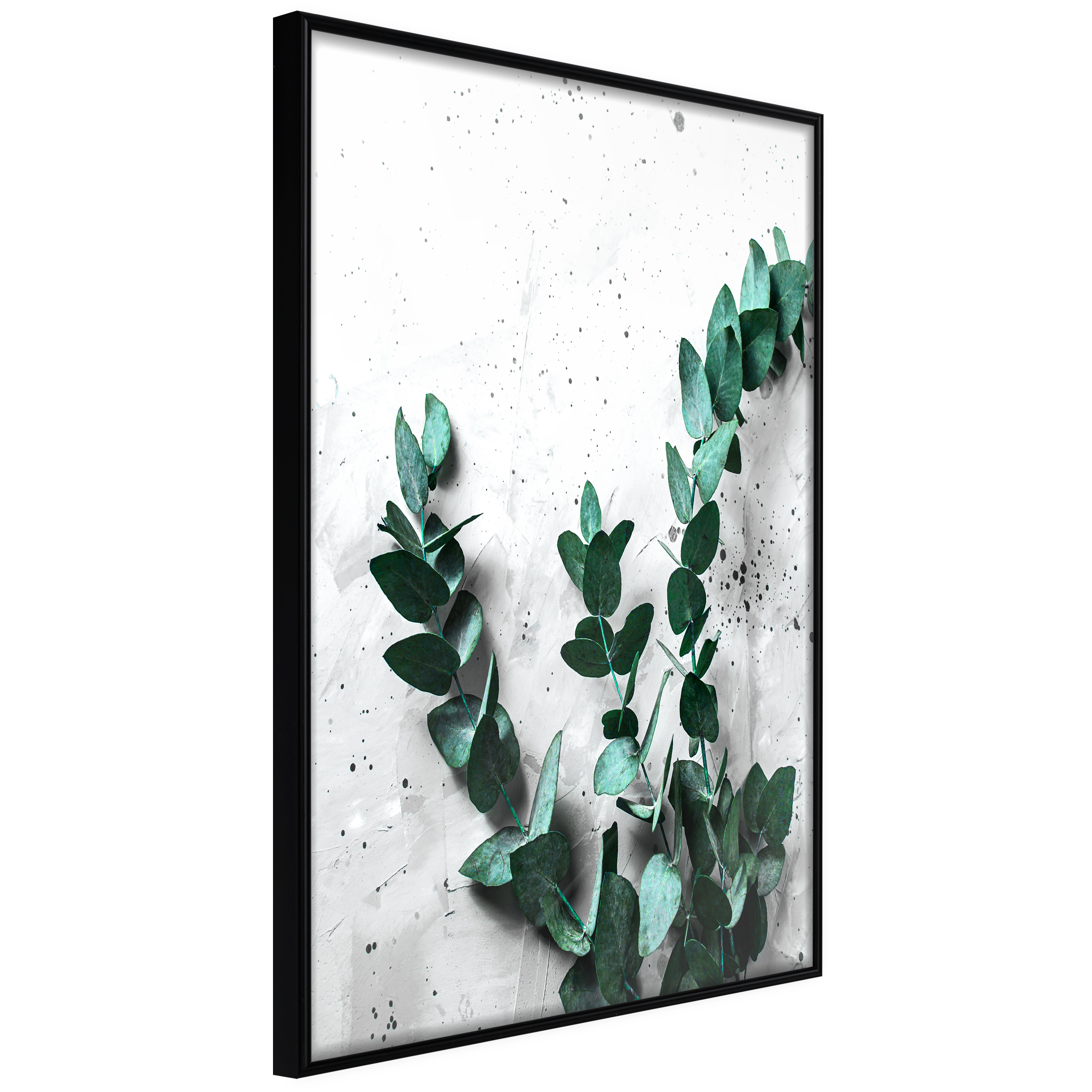 Affisch - Eucalyptus Scent [Poster] 30x45 Svart ram, 30x45 cm