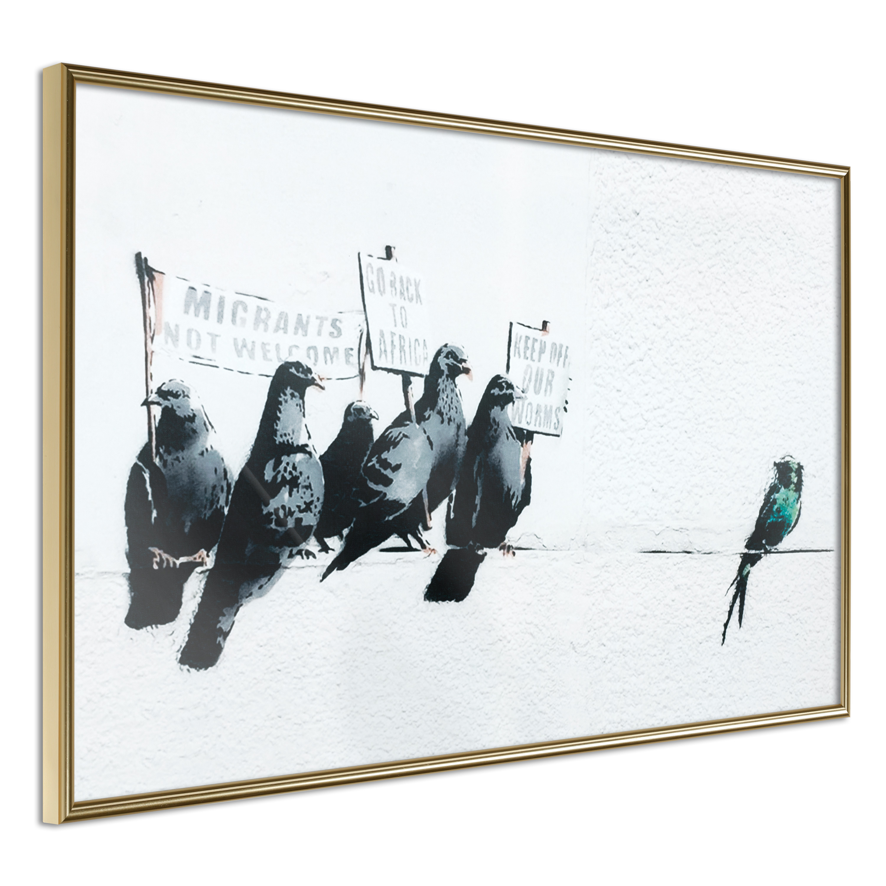 Affisch - Xenophobic Pigeons [Poster] 30x20 Guld ram, 30x20 cm