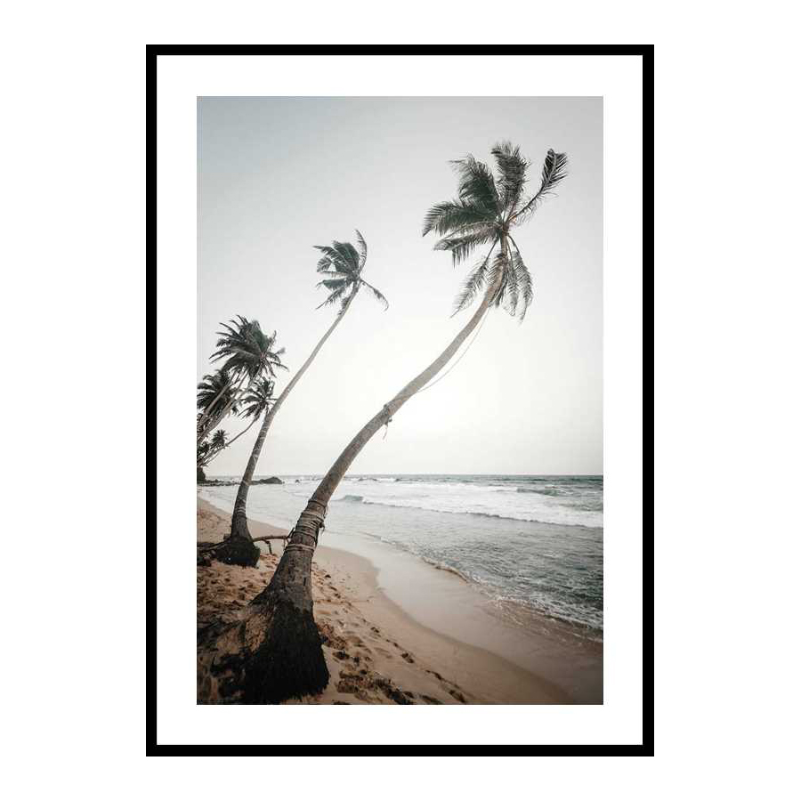 Beach Palm Trees 50x70 cm