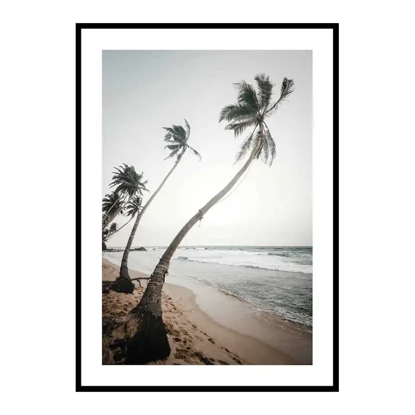 Beach Palm Trees 50x70 cm