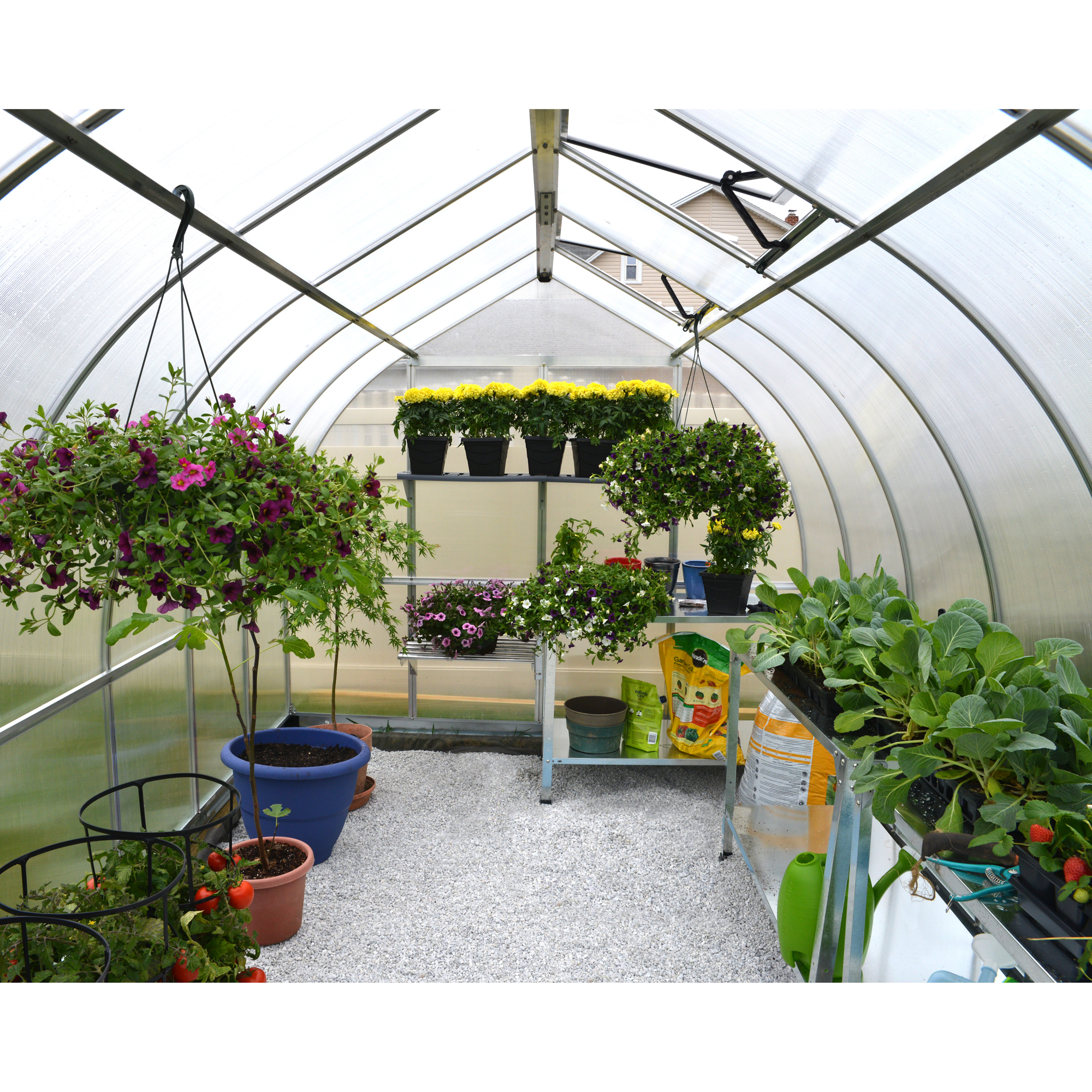 Tunnelväxthus Canopia Kivik 8,9 m²