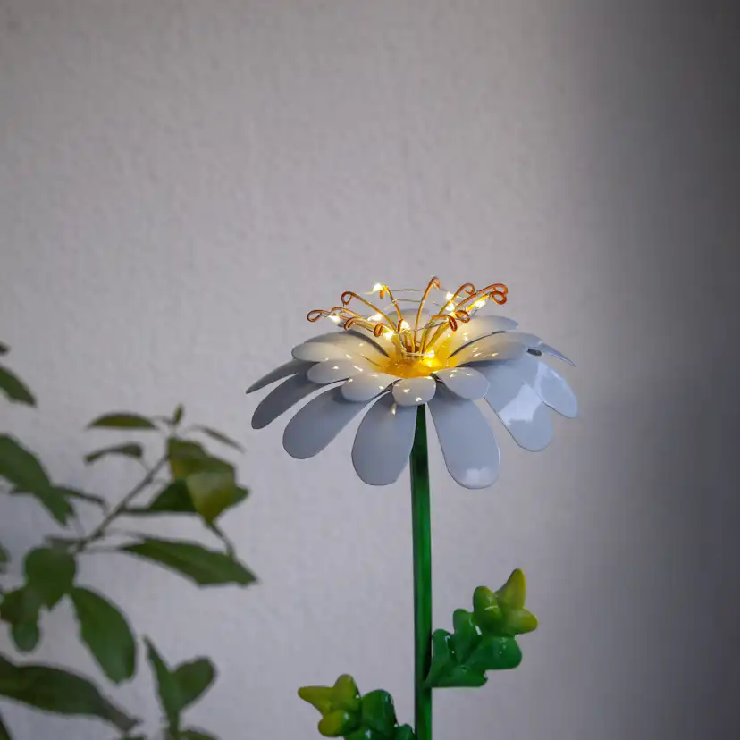 Solcellsdekoration Star Trading Daisy Twilight