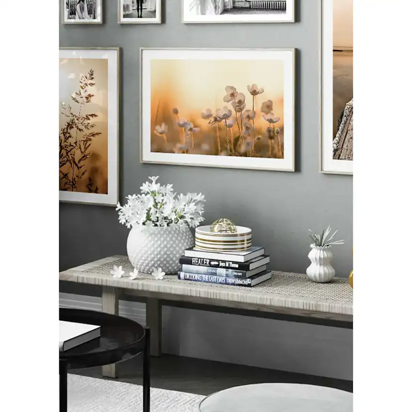Poster Gallerix Wild Anemone In Sunset