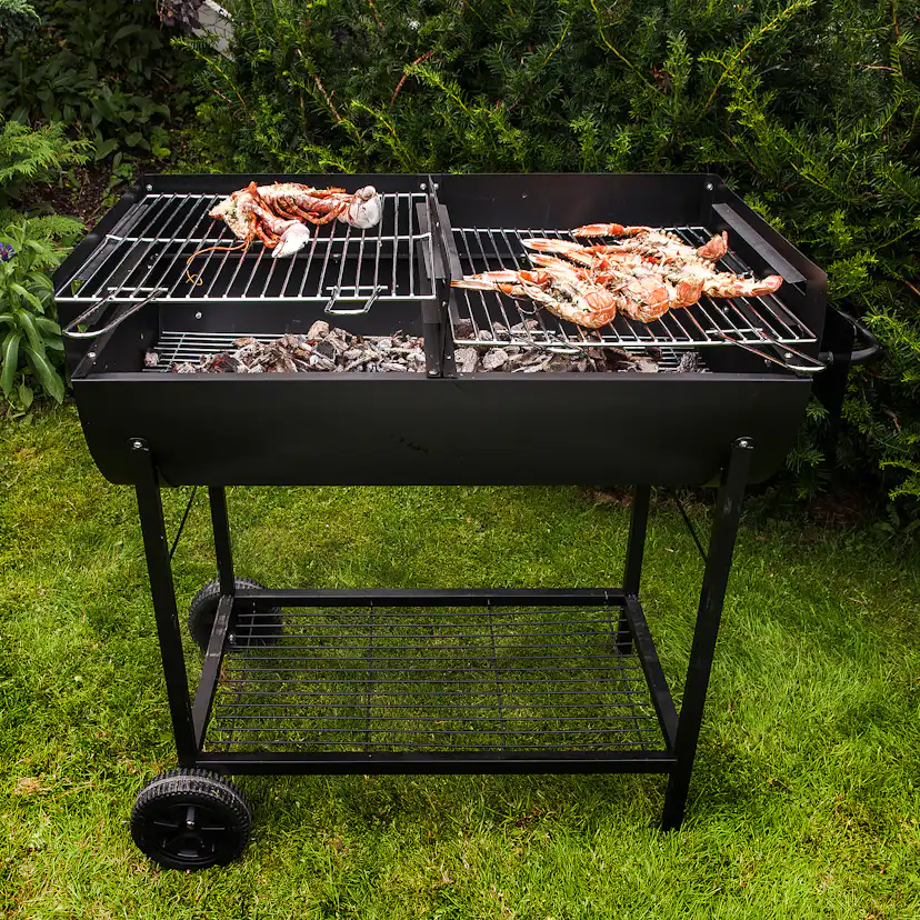 Kolgrill Sunwind Odis