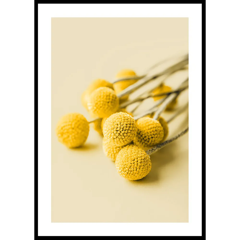 Poster Gallerix Drumstick Flowers