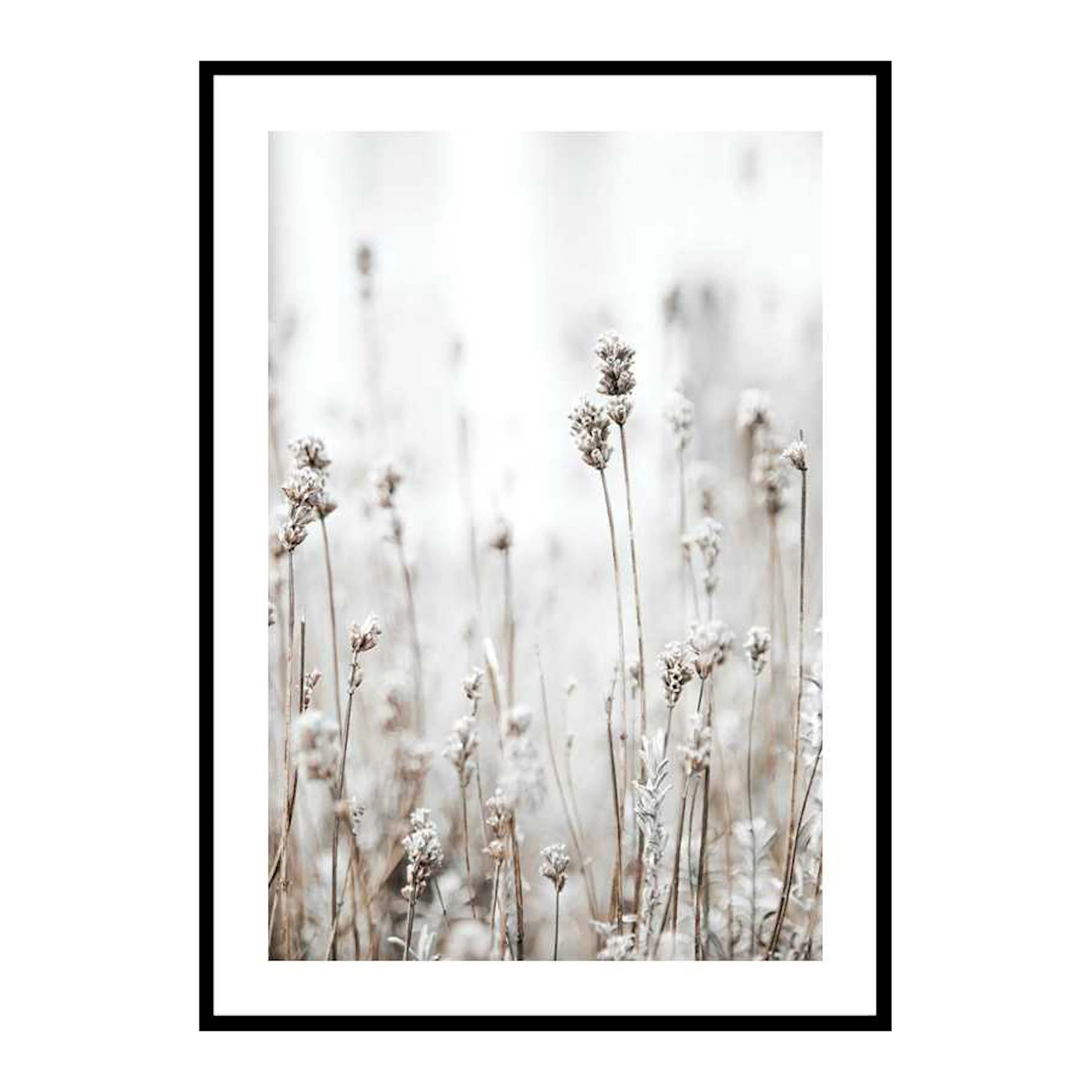 In The Wild 50x70 cm