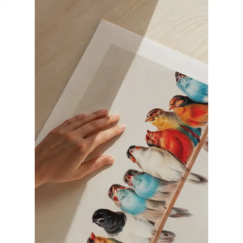 Poster Gallerix Birds In A Row Landscape
