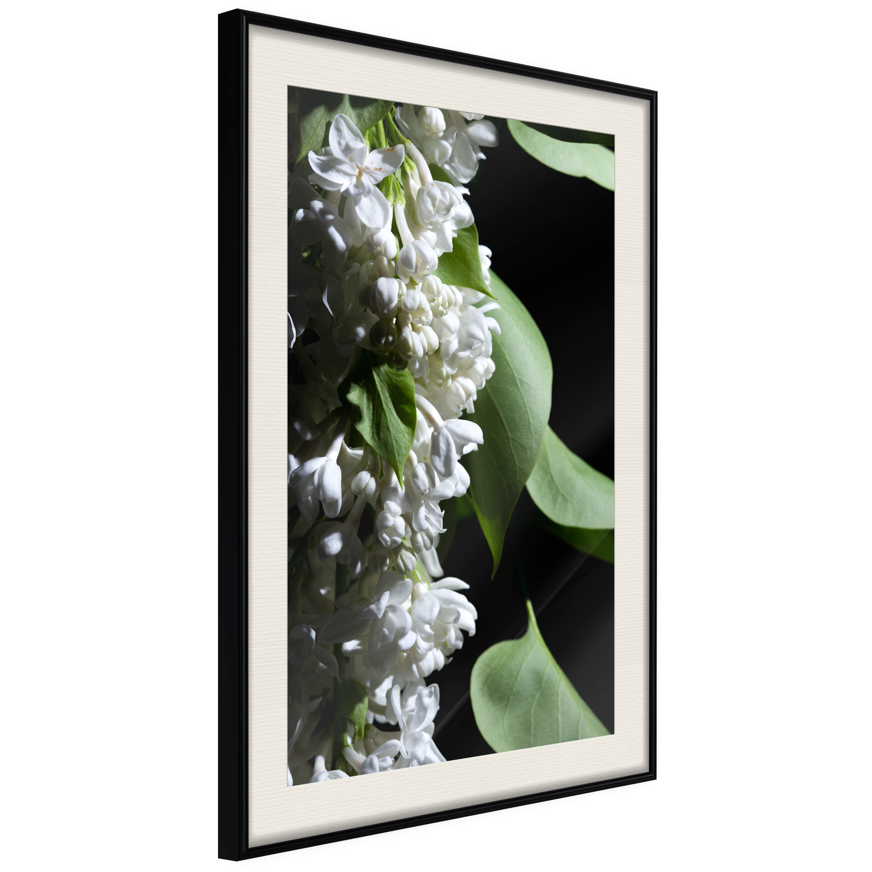 Affisch - Lilacs Detail [Poster] 20x30 Svart ram med passepartout, 20x30 cm